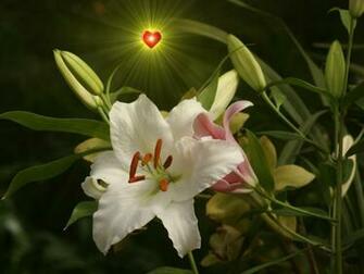 Hallmark Wallpaper For Desktop In HD