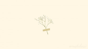 Graceful Simplicity Wallpaper