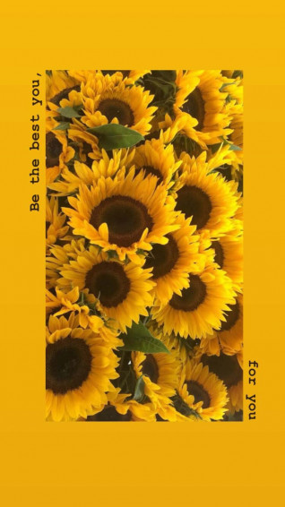 Sunflower Aesthetic Wallpaper