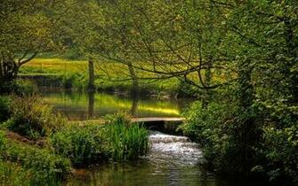 Nature Wallpaper Widescreen Landscape