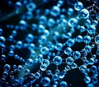 Wallpaper Best Android Live For Your Phone