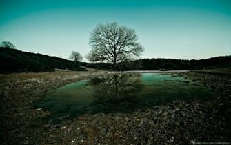 High Definition Wallpaper Photo Drowning Html