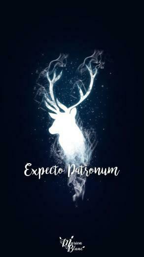Harry Potter Marion Blanc Potterhead Em