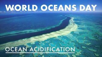 Wallpaper Of World Oceans Day Fresh Image HD