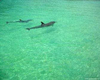 Roatan