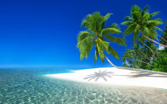 Serene Seychelles Wallpaper
