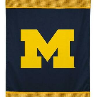 Michigan Wolverines Logo Wallpaper High Definition