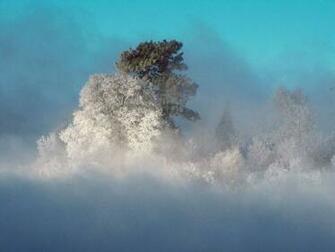 Winter Storm Wallpaper