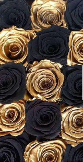 Black And Gold Rose Wallpaper