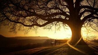 Landscape Wallpaper Hq