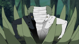 Naruto Shippuuden Zetsu