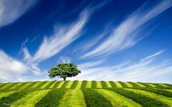 Up The Hill HD Wallpaper Theme Bin Customization