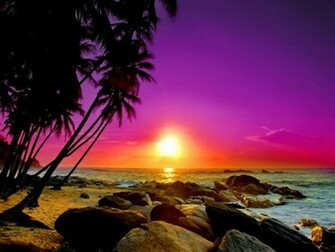 Tropical Island Sunset Wallpaper