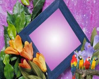 Frames Designs Wallpaper HD