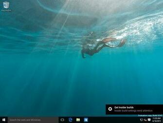 Windows Build
