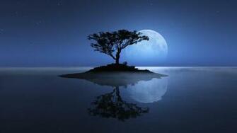 Moon Night Nature HD Wallpaper Full