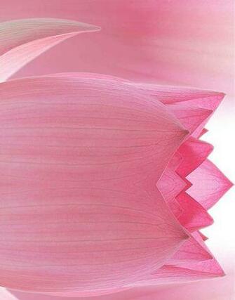 Ing Gallery For Pink Ribbon Background