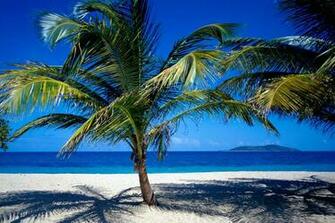Croix Us Virgin Islands Wallpaper Photos Pictures And Background