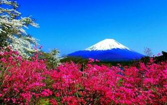 Spring Mountain Flowers Japan Fuji Nature HD Wallpaper