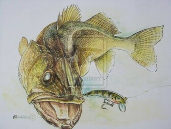 Walleye Wallpaper Lure Stinger By