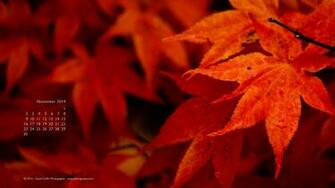 November Wallpaper David Griffin Photography