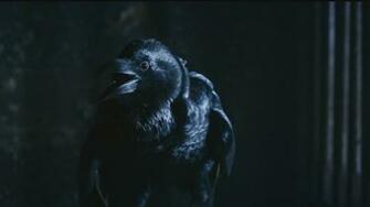 And Fire Tv Series Hbo Three Eyed Crow Fresh New HD Wallpaper Jpg