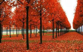 Garden Amazing Admirable Seasonal Wallpaper For Desktop Background