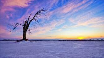 Winter Sunset