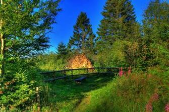 Image Germany Hessen Nature Summer Landscape Photography