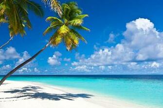 Caribbean Islands Babes HD Wallpaper