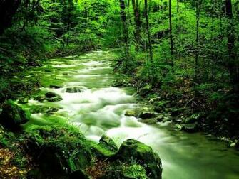 My Dreams Amazing HD Desktop Wallpaper Nature
