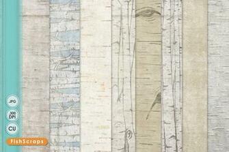Birch Wood Grain Background Patterns On Creative Market