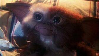 Gizmo Gremlins Wallpaper