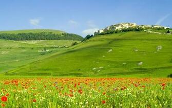 Collection Of HD Wallpaper Kashmir For Desktop Background