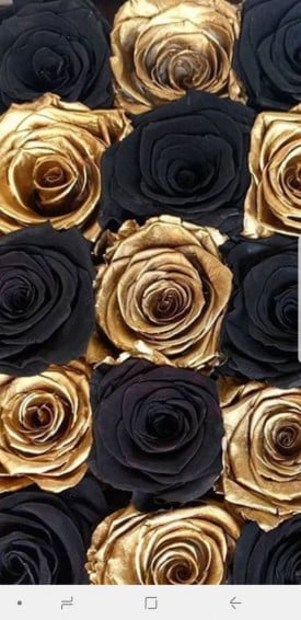 8e4023d17b6a3b2a036ad01bc982d4dc Wallpaper
