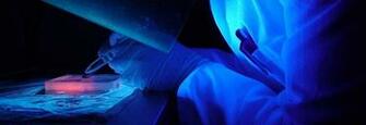 Dphil In Biochemistry University Of Oxford