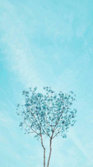 Cute Light Blue Wallpaper