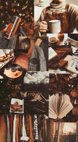 Cute Brown Aesthetic Wallpaper For Phone Autumn