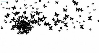 Black Butterfly Background Background Photo Picture