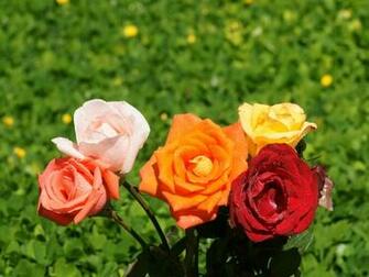Flower Design On HD Wallpaper Bywallpaper