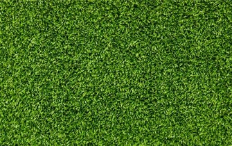 Green Grass Texture HD Wallpaper