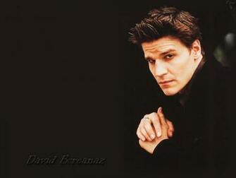 David Boreanaz Hates Angel
