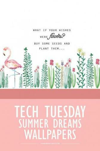 Tech Tuesday Summer Dreams Wallpaper Dream