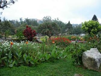 Tropical Garden Photos