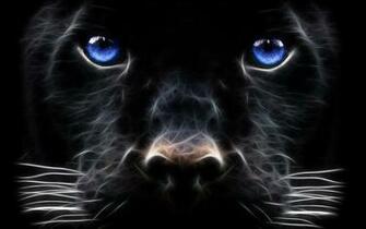 Black Leopard Background