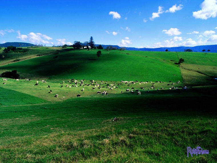 Beautiful Wallpaper Of American Places And World