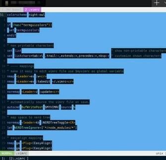 Vim Nvim Background Rending Highlight Color Issue