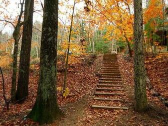 Wallpaper Of Golden Autumn Scenery World
