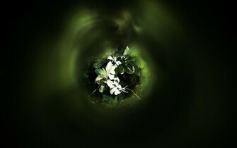 Nature Wallpaper Computer Pc Background HD Widescreen
