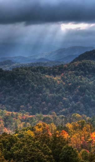 Smoky Mountain Autumn